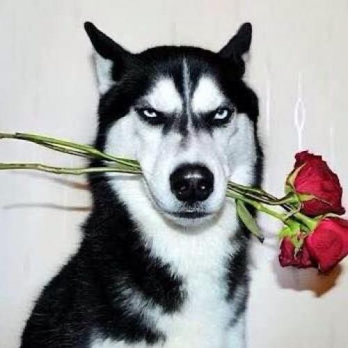 สมาชิกหมายเลข 6978031