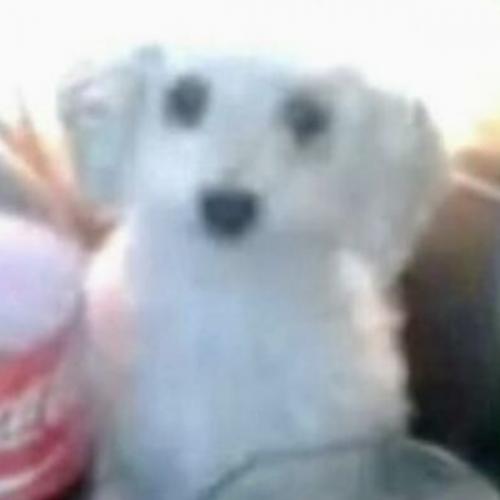 สมาชิกหมายเลข 6221800