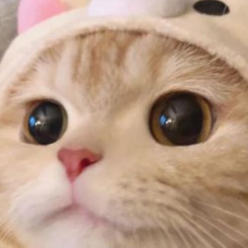 สมาชิกหมายเลข 7367056