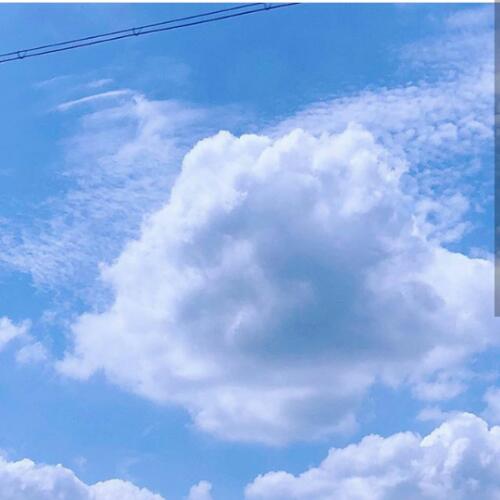 สมาชิกหมายเลข 4882331