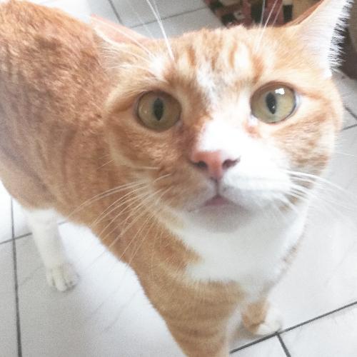 สมาชิกหมายเลข 5186902