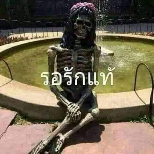 สมาชิกหมายเลข 4519343