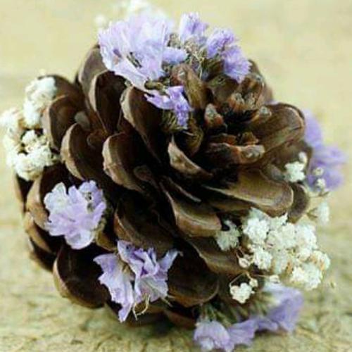 สมาชิกหมายเลข 5033112