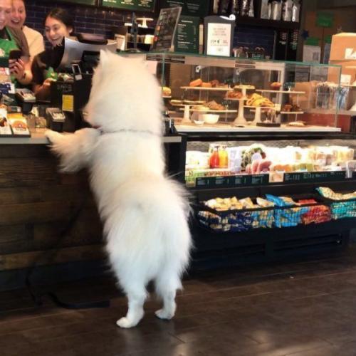 สมาชิกหมายเลข 5719628