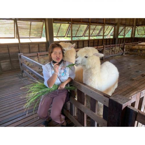 สมาชิกหมายเลข 1770385