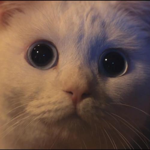 สมาชิกหมายเลข 6292676