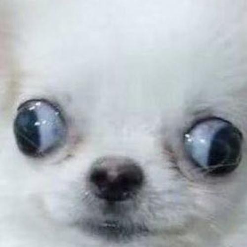 สมาชิกหมายเลข 6794621