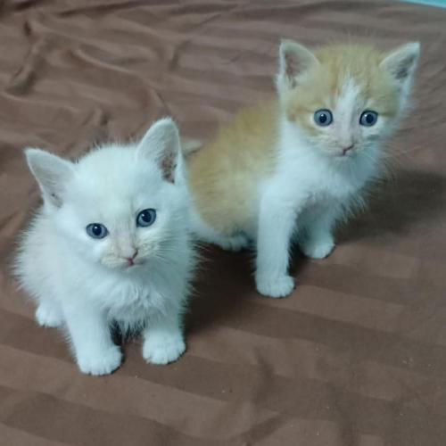 สมาชิกหมายเลข 1105907