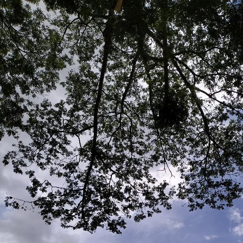 สมาชิกหมายเลข 7703125