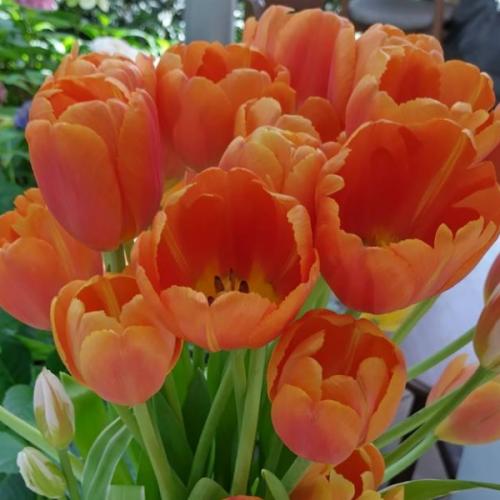 สมาชิกหมายเลข 7739946