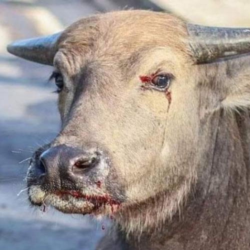 สมาชิกหมายเลข 7740504