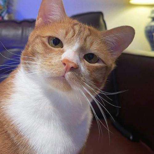 สมาชิกหมายเลข 7742650