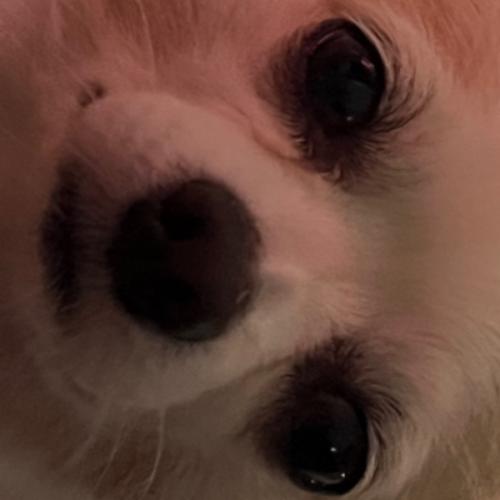 สมาชิกหมายเลข 6448686