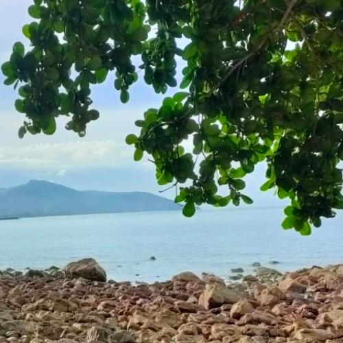 สมาชิกหมายเลข 8698152