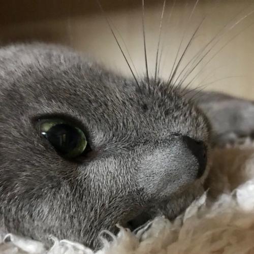 สมาชิกหมายเลข 3503901