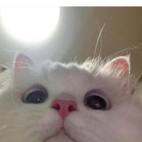 สมาชิกหมายเลข 5276759