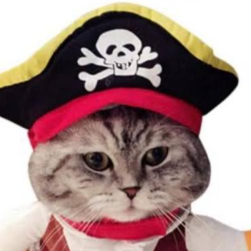 สมาชิกหมายเลข 1970288