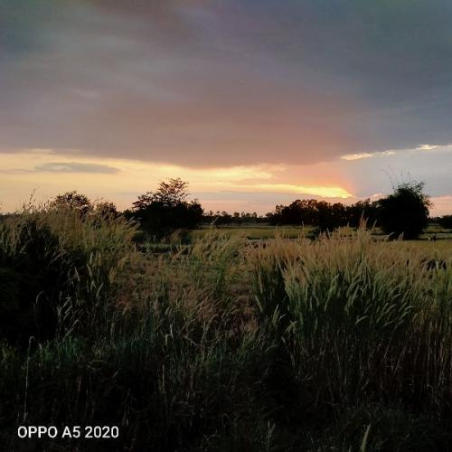 สมาชิกหมายเลข 5719949