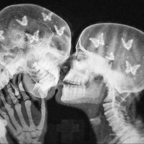 สมาชิกหมายเลข 6979593