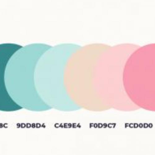 สมาชิกหมายเลข 1591282