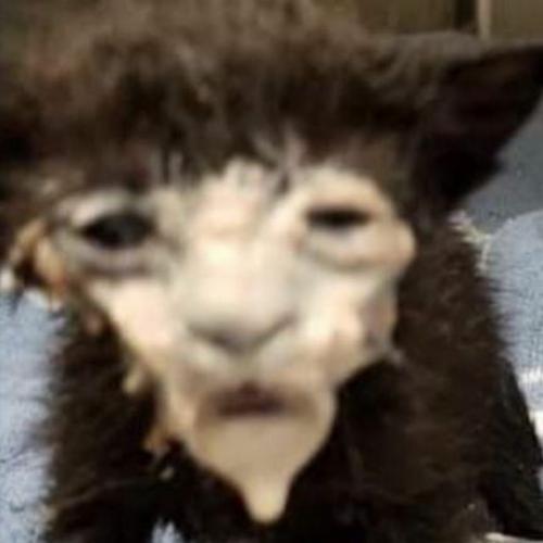 สมาชิกหมายเลข 8699025