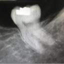 สมาชิกหมายเลข 1334460