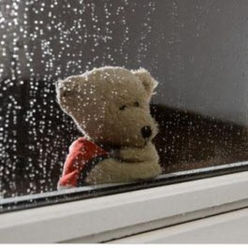 สมาชิกหมายเลข 4108717