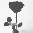 สมาชิกหมายเลข 3811258