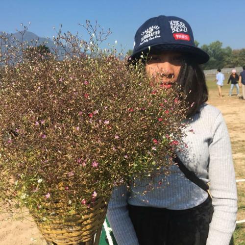 สมาชิกหมายเลข 4883137