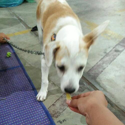 สมาชิกหมายเลข 4883291