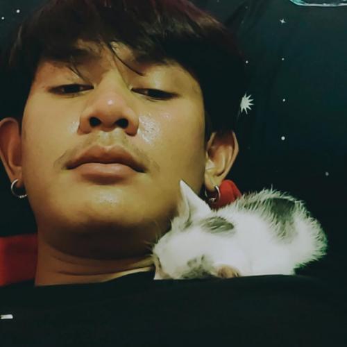 สมาชิกหมายเลข 4652901