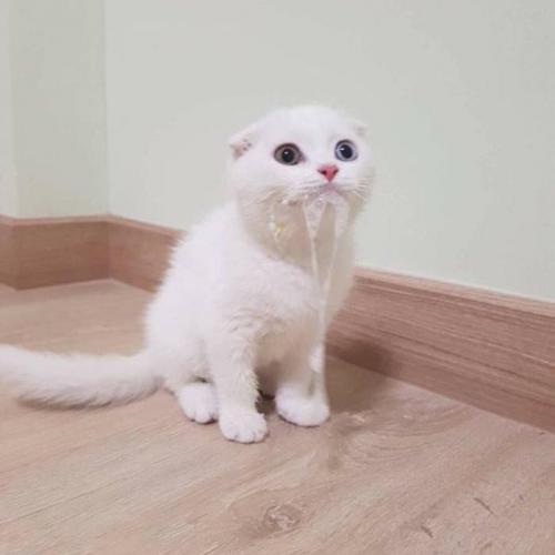 สมาชิกหมายเลข 5721089