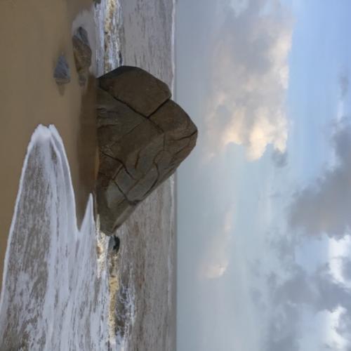 สมาชิกหมายเลข 6302781