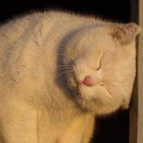 สมาชิกหมายเลข 6589592