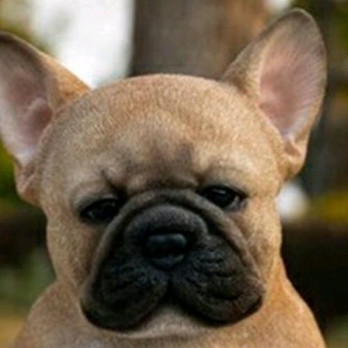 สมาชิกหมายเลข 6693133