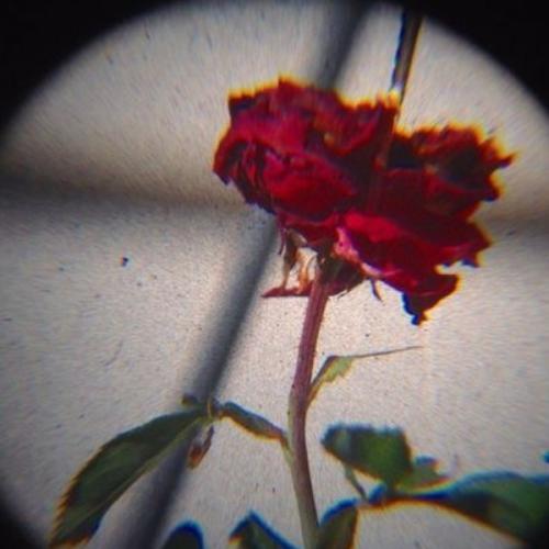 สมาชิกหมายเลข 3446893