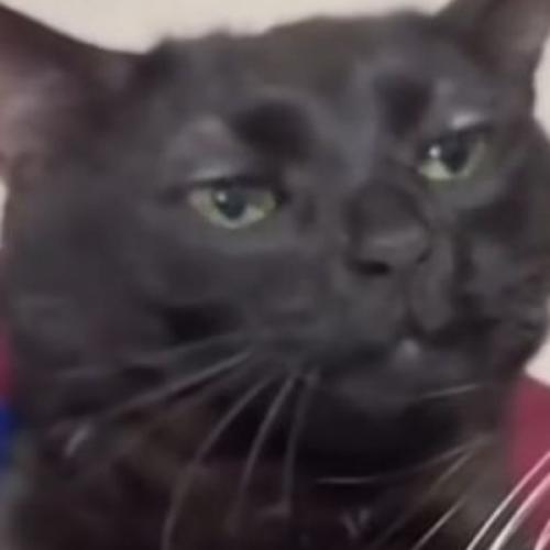 สมาชิกหมายเลข 7741225