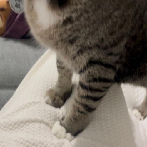 ฮูหยินท่านเจ้าสำนัก