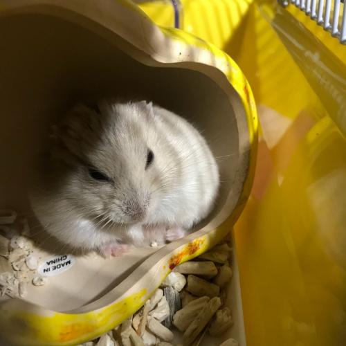 สมาชิกหมายเลข 1539343