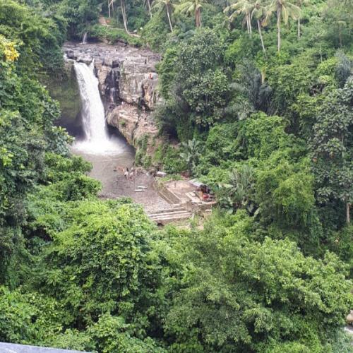 สมาชิกหมายเลข 3433384