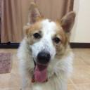 ขนุนตัวกลม