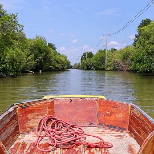 สมาชิกหมายเลข 5191599