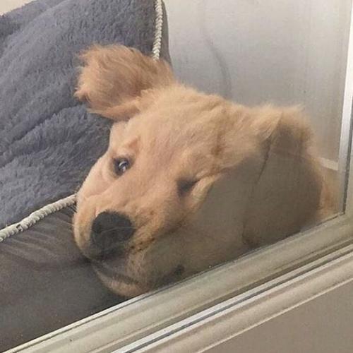 สมาชิกหมายเลข 5720903