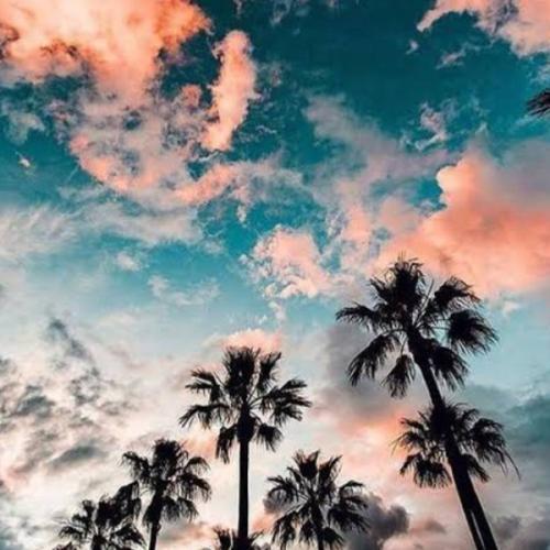 สมาชิกหมายเลข 6179943