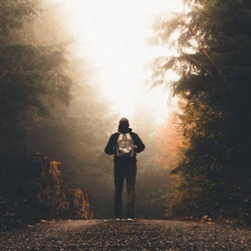 สมาชิกหมายเลข 6932651