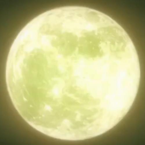 สมาชิกหมายเลข 6981850