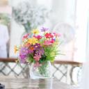 เจ๊ของน้อง