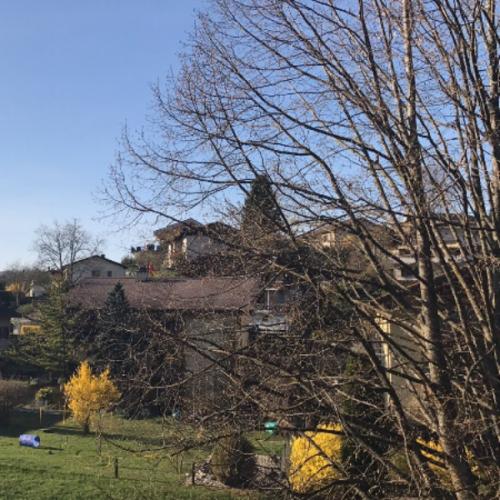 สมาชิกหมายเลข 3867491