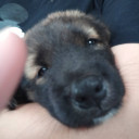 สมาชิกหมายเลข 1066300