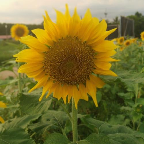 ขออ่านหน่อย